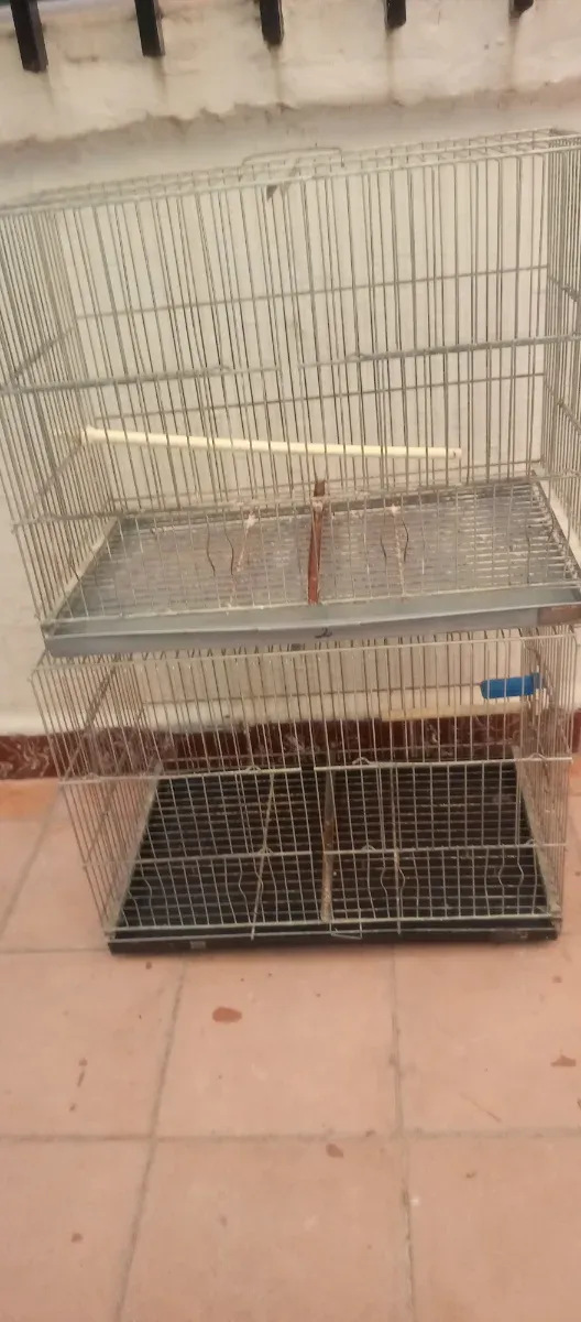 Jaulas para pájaros