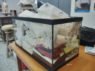 Acuario de cristal 60cm