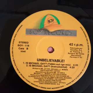 TECHNO HARDCORE UNBELIEVABLE Is Michael Gay Vinilo