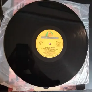 TECHNO HARDCORE UNBELIEVABLE Is Michael Gay Vinilo