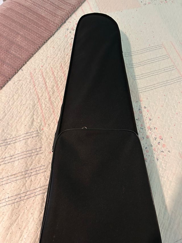 Violín Carlo Giordano con funda y arco