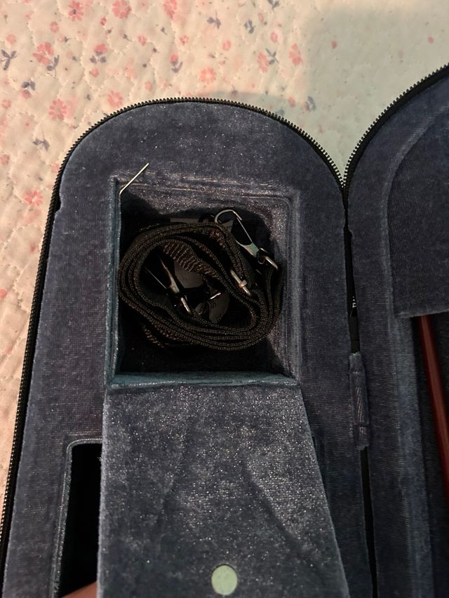 Violín Carlo Giordano con funda y arco