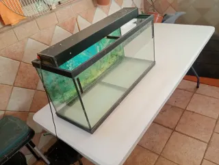 Acuario de cristal y plástico