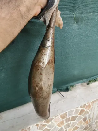 Tubo de escape SCR Racing Line 80