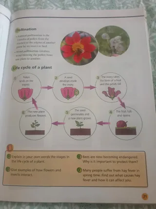 Libro de Science 4 de primaria 