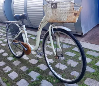 Bicicleta Monty Paseo
