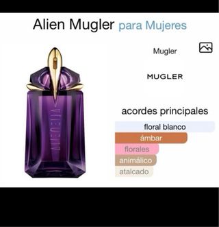 Perfume Violeta Floretta