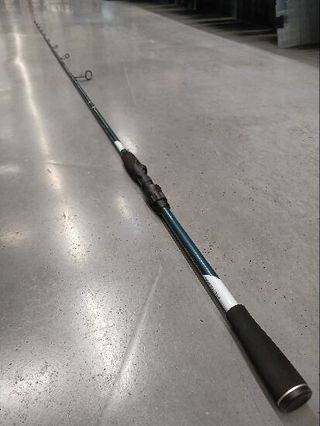 Caña Pesca Señuelos Mar Ilicium-100 230 10-40 g