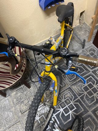 Bicicleta Montaña Shimano Portabike. 