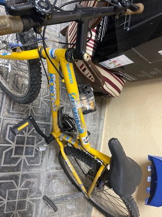 Bicicleta Montaña Shimano Portabike. 