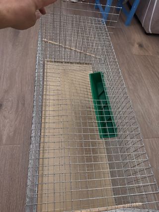 Jaula para codornices caseras