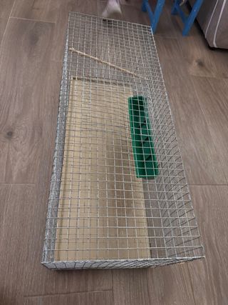 Jaula para codornices caseras