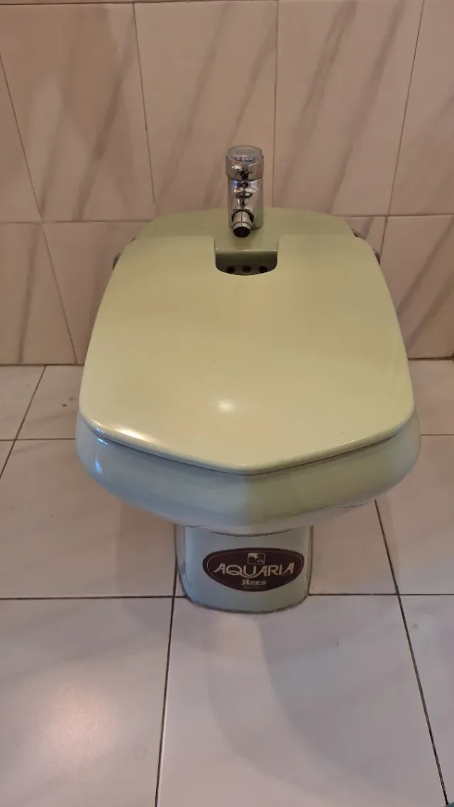 Inodoro y bidé verde porcelana