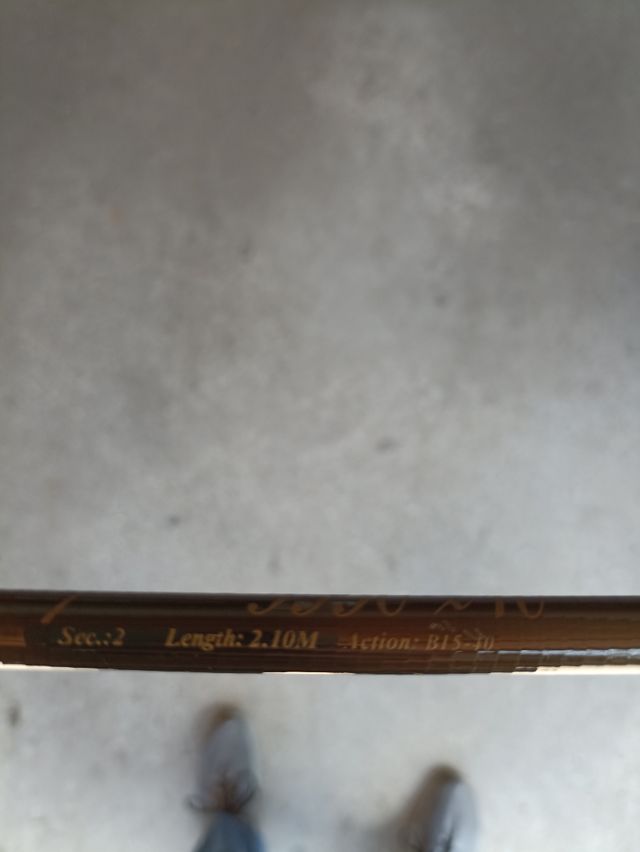 Canna da pesca Silstar