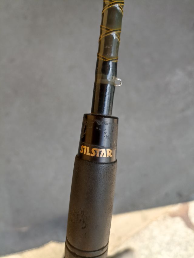 Canna da pesca Silstar