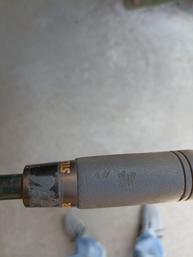 Canna da pesca Silstar