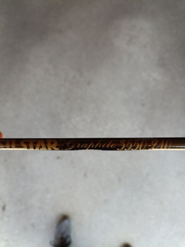 Canna da pesca Silstar