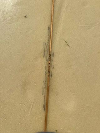 Tabla de surf Eukaliptus 6'0