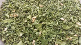 Hojas de Moringa secas 50gr