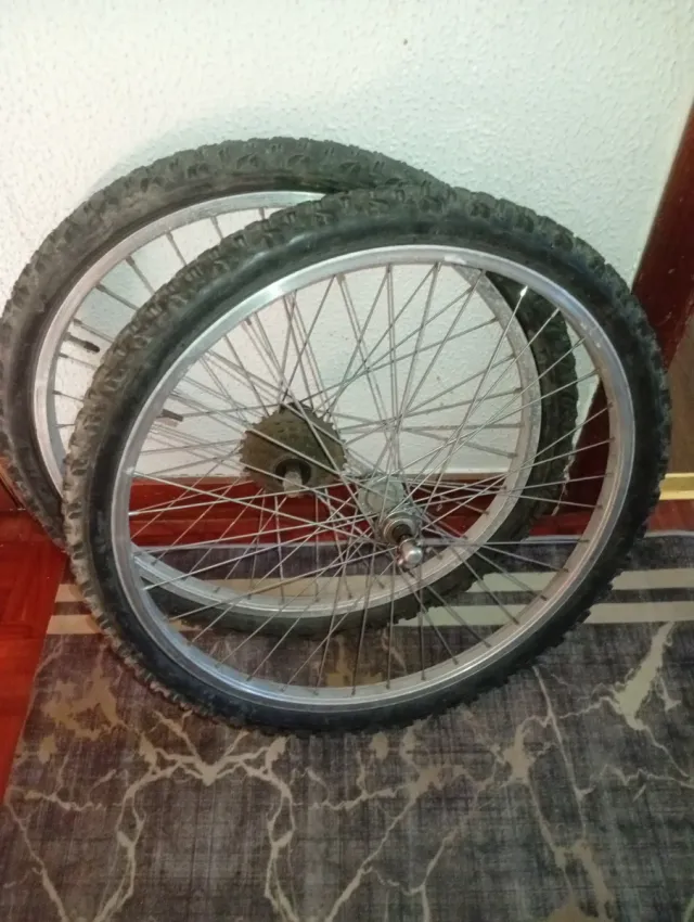 Mountain bike a 2 ruote