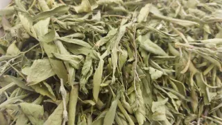 Hojas de stevia secas 50gr