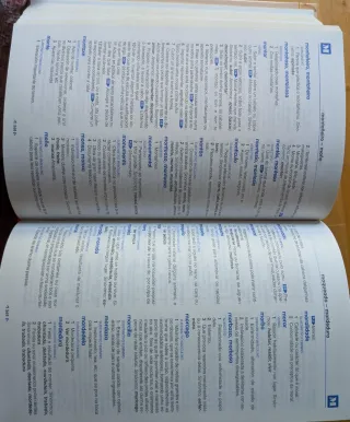 Dicionario Cumio da Lingua Galega Primaria