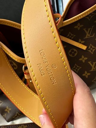 Louis Vuitton CaryAll PM