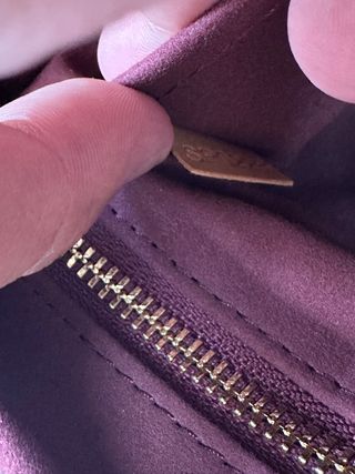Louis Vuitton CaryAll PM