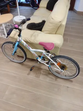 Bicicletas