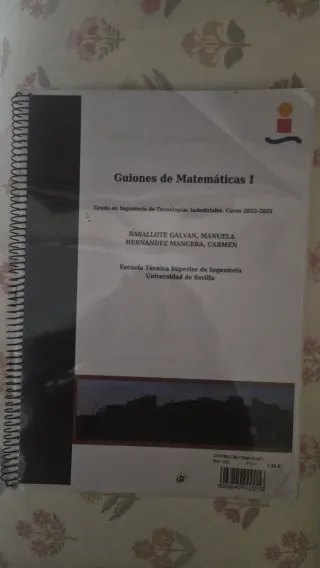 GUIONES DE MATEMATICAS 1