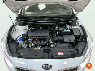 Kia Ceed 1.0 T-GDi 74kW (100CV) Concept Eco-Dynam