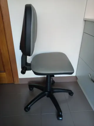 Silla de Escritorio, Piel Gruesa