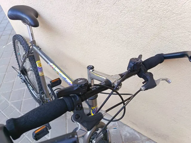Bicicleta de Montaña