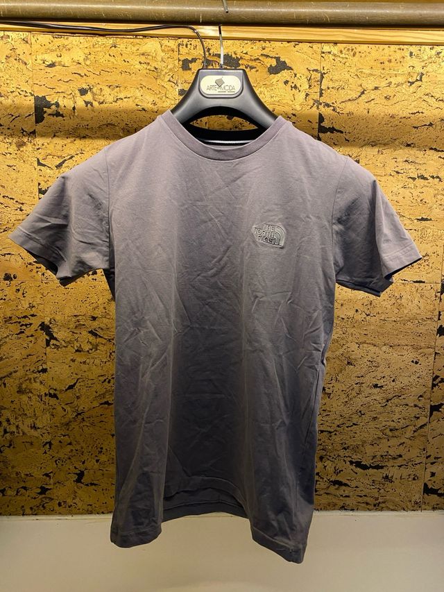 Camiseta The North Face Gris
