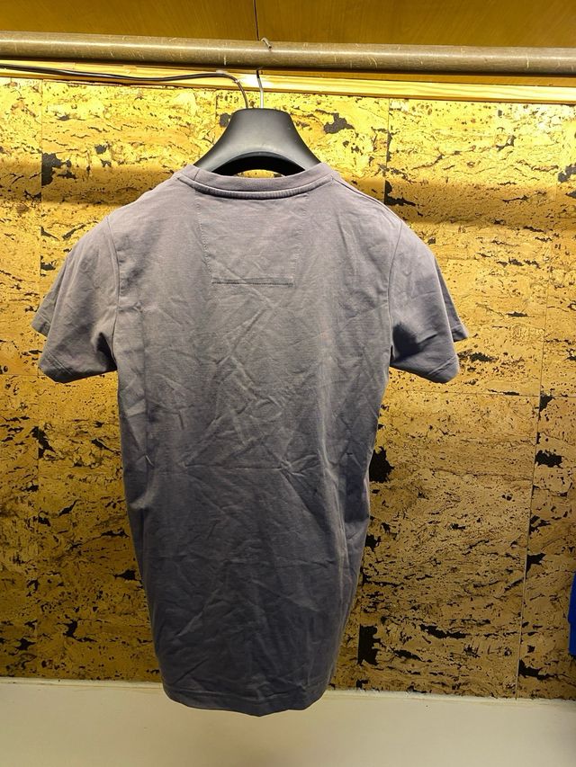Camiseta The North Face Gris