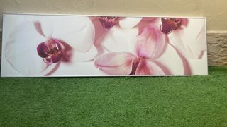 Cuadro Orquídeas Rosas y Blancas