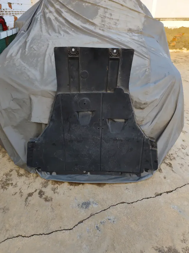 Protector Carter Megane 3