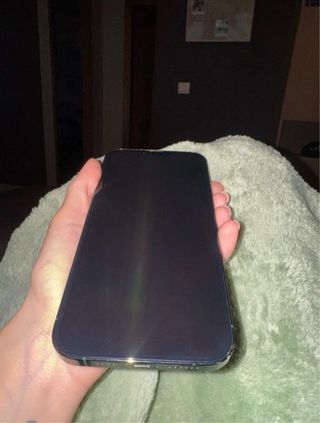 iPhone 13 Pro Max Verde