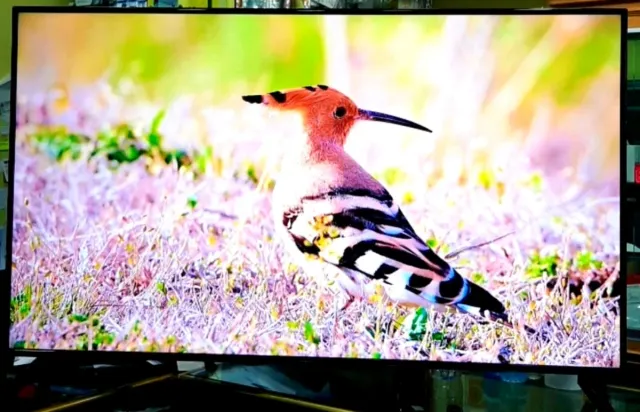 TV LED"65 XIAOMI P1E 4K HDR SMART TV ANDROID TV