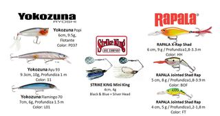 Mega-Lote Señuelos Pesca Black Bass Nuevos