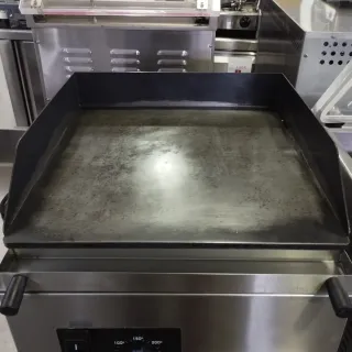 Plancha de hierro profesional