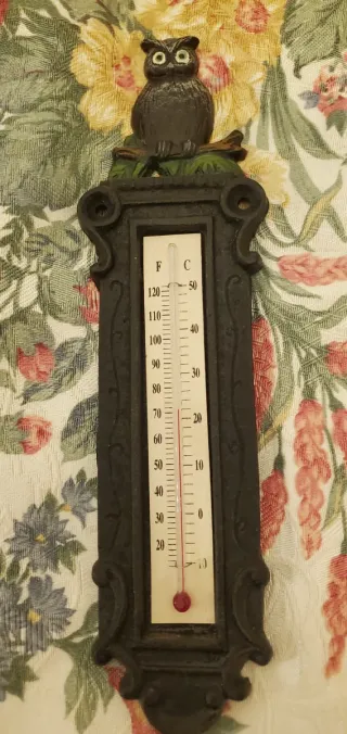 Termometro in ghisa con gufo
