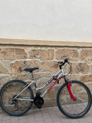 Bicicleta para niño 