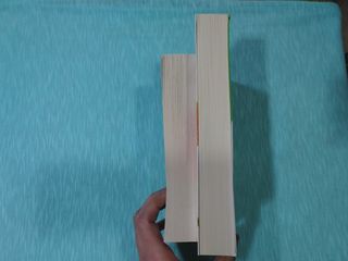Lote libros Nora Roberts La huida y Al atardecer