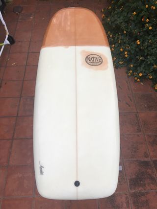 Tabla Surf Mini Simmons de NATIVE Twin Fin