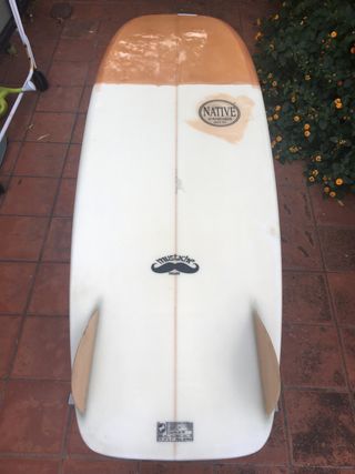 Tabla Surf Mini Simmons de NATIVE Twin Fin