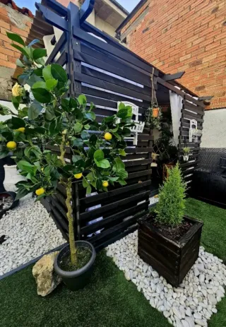 Paneles celosía madera