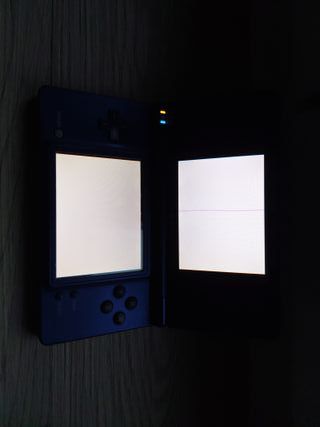 Nintendo DSi Rota