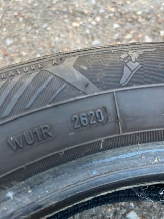 Goodyear EfficientGrip Performance 2 205/55R16 91V