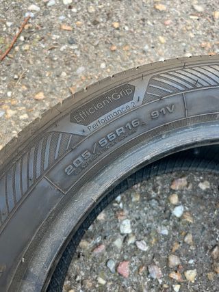Goodyear EfficientGrip Performance 2 205/55R16 91V